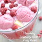 sparkling raspberry sherbet party punch | NoBiggie.net
