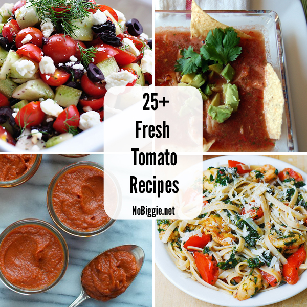 25+ Fresh Tomato Recipes | NoBiggie.net