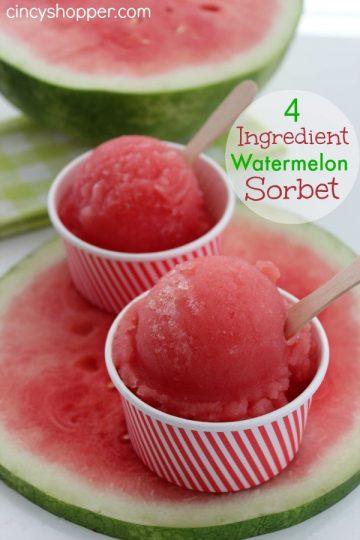 4 Ingredient Watermelon Sorbet Recipe | 25+ Watermelon recipes