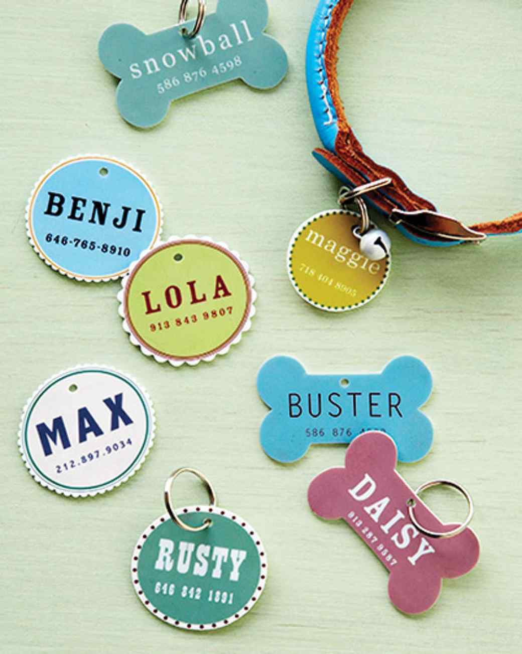 Pet ID Tag | 25+ Shrinky Dink Crafts