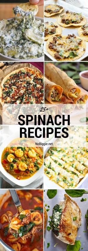 25+ Spinach Recipes | NoBiggie