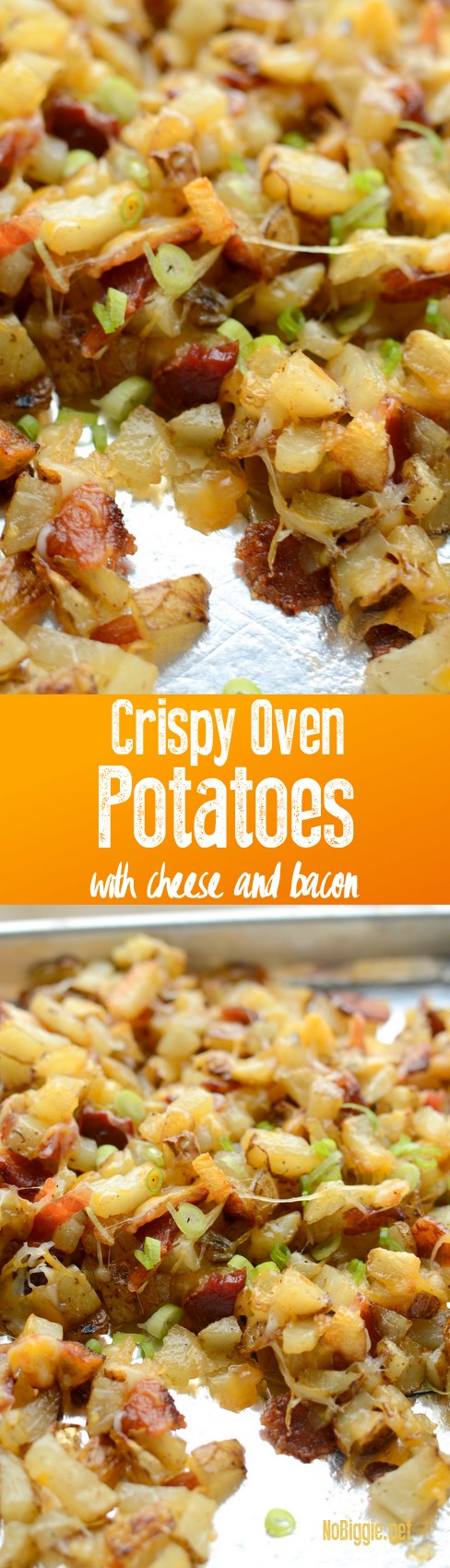 Crispy Oven Potatoes with cheese and bacon | they taste just like Outback Steak House Cheese Fries | NoBiggie.net
