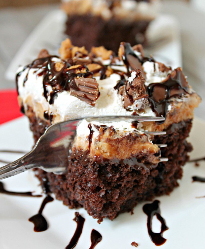 Reese's Peanut Butter Poke Cake | 25+ MORE Peanut butter and Chocolate desserts
