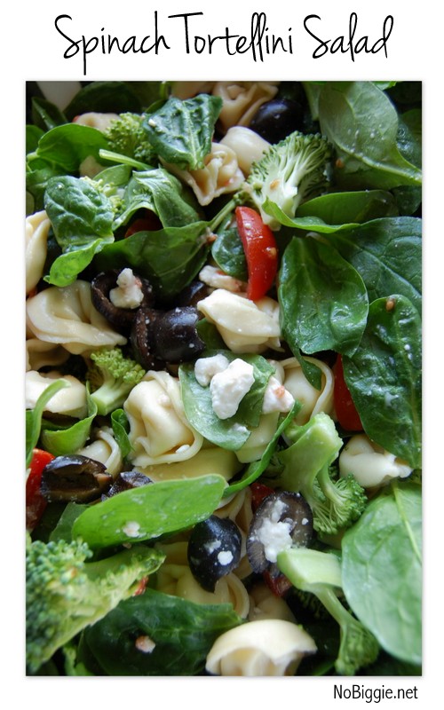 Spinach Tortellini Salad | 25+ Spinach Recipes