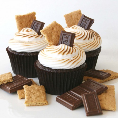 S'mores Cupcakes |25+ Cupcake Recipes