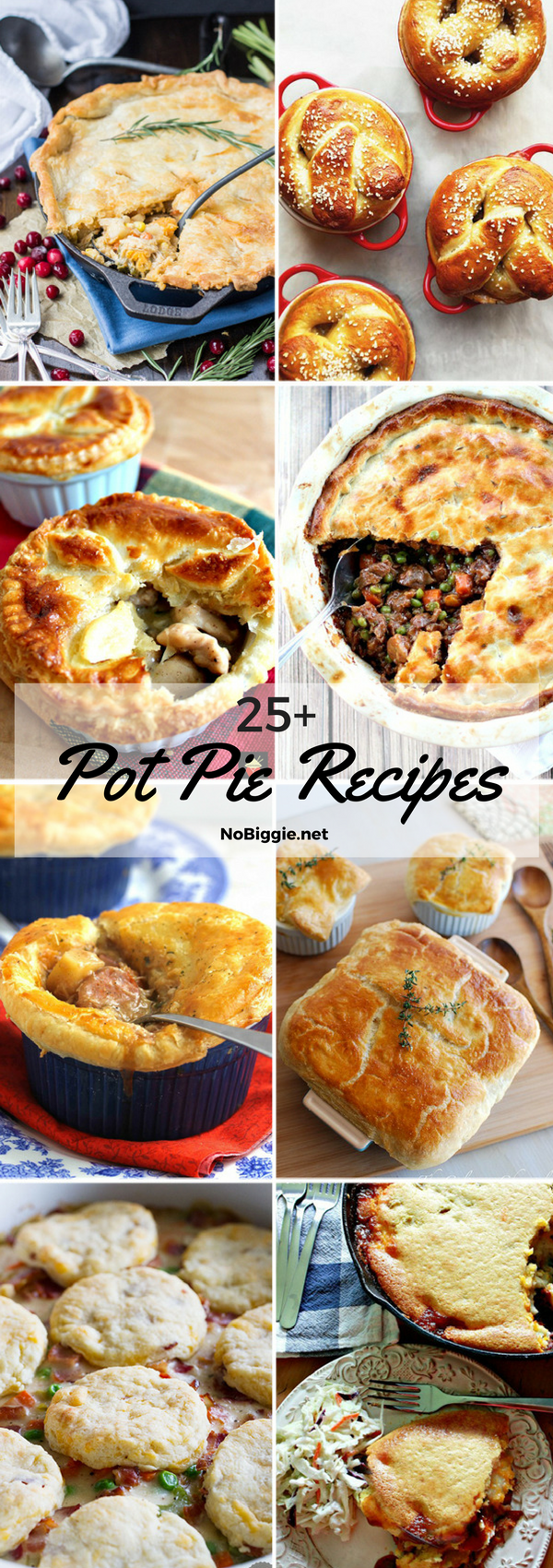 25+ Pot Pie Recipes |NoBiggie.net