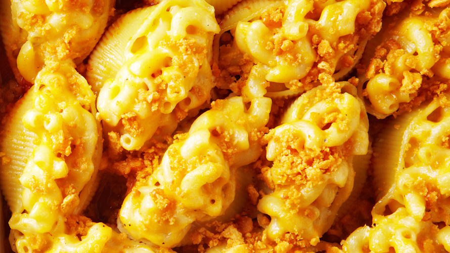 Macaroni and Cheese Stuffed Shells | 25+ Mac and Cheese Recipes