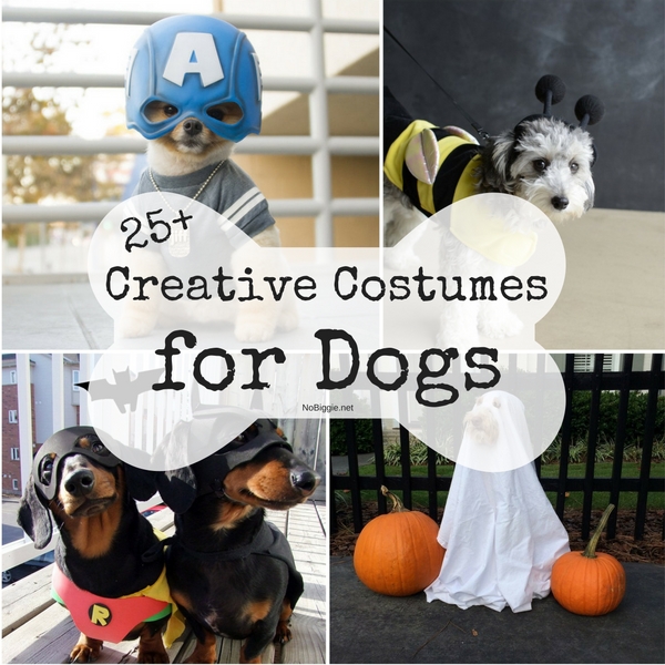 25+ Creative Costumes for Dogs | NoBiggie.net