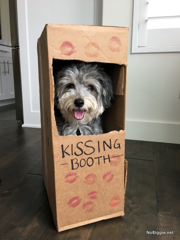 Dog Kissing Booth | 25+ Creative Costumes for Dogs