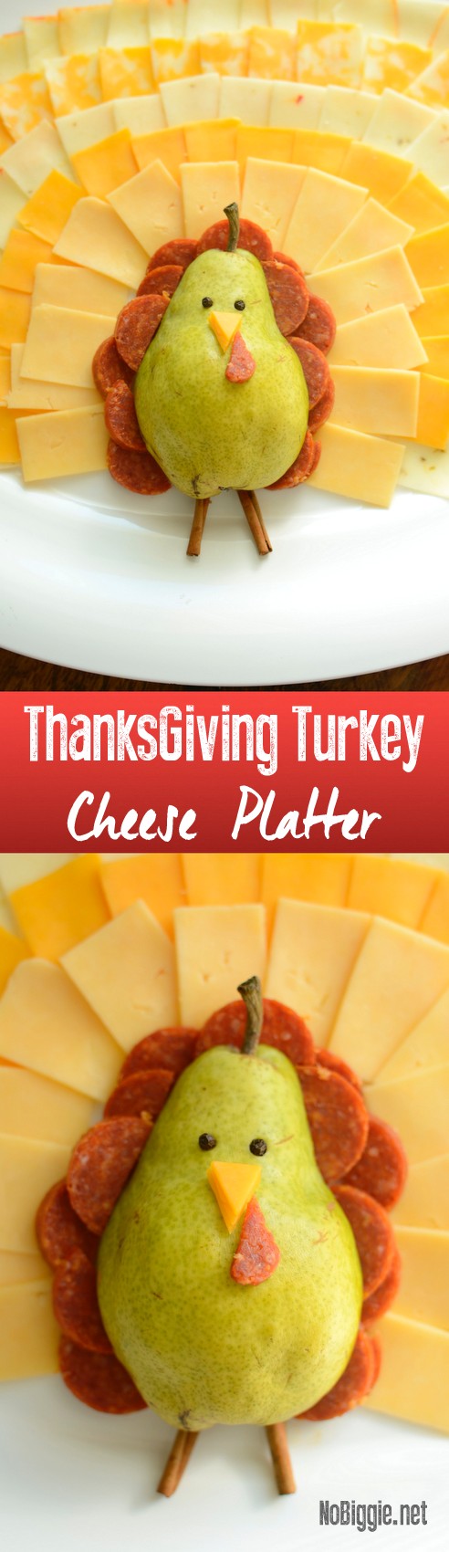 Turkey Cheese platter | NoBiggie.net