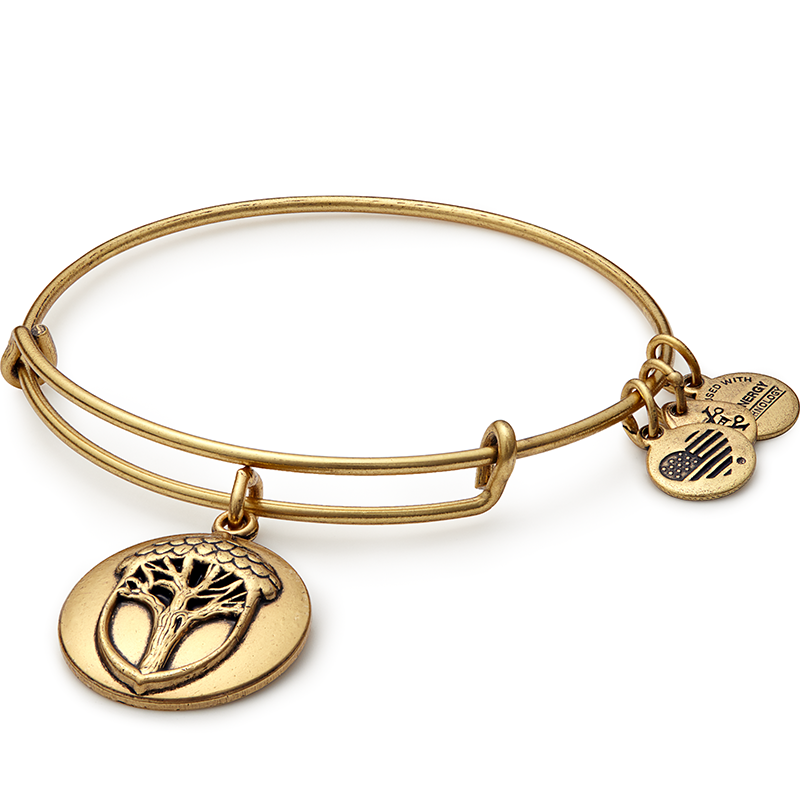 Alex and Ani Charm Bangle | 25+ Valentine's Day gifts for her