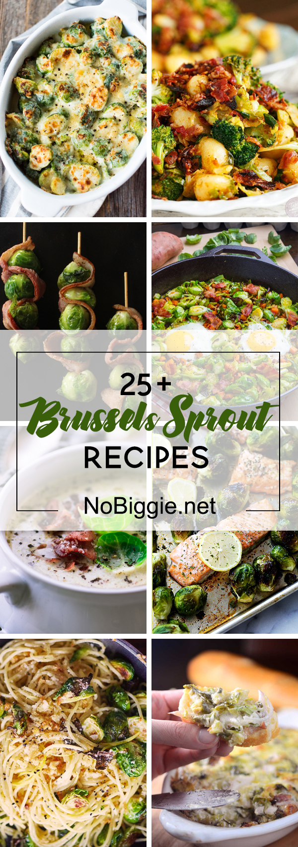 25+ Brussel Sprout Recipes | NoBiggie.net