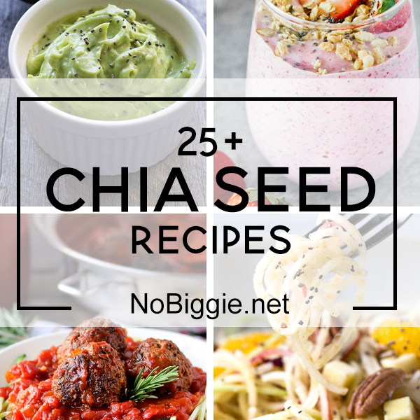 25+ Chia Seed Recipes | NoBiggie.net