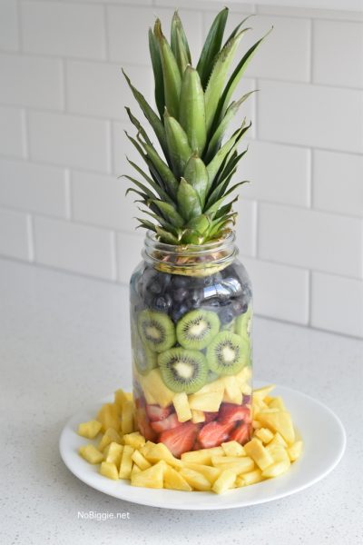 Pineapple Fruit Mason Jar | NoBiggie.net