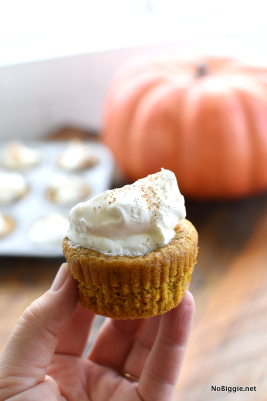 Pumpkin Pie Cupcakes | NoBiggie.net