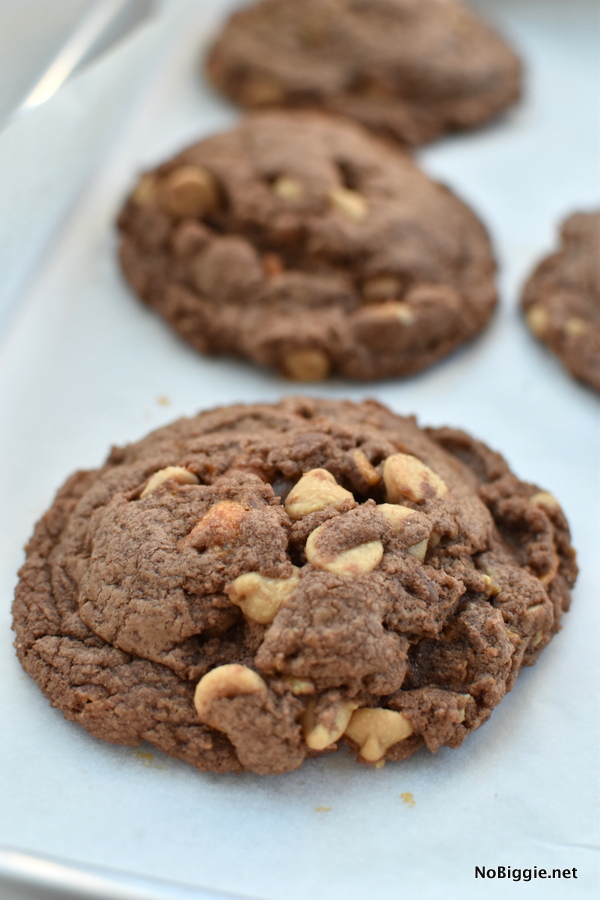 The Ultimate Chocolate Peanut Butter Cookies | NoBiggie.net