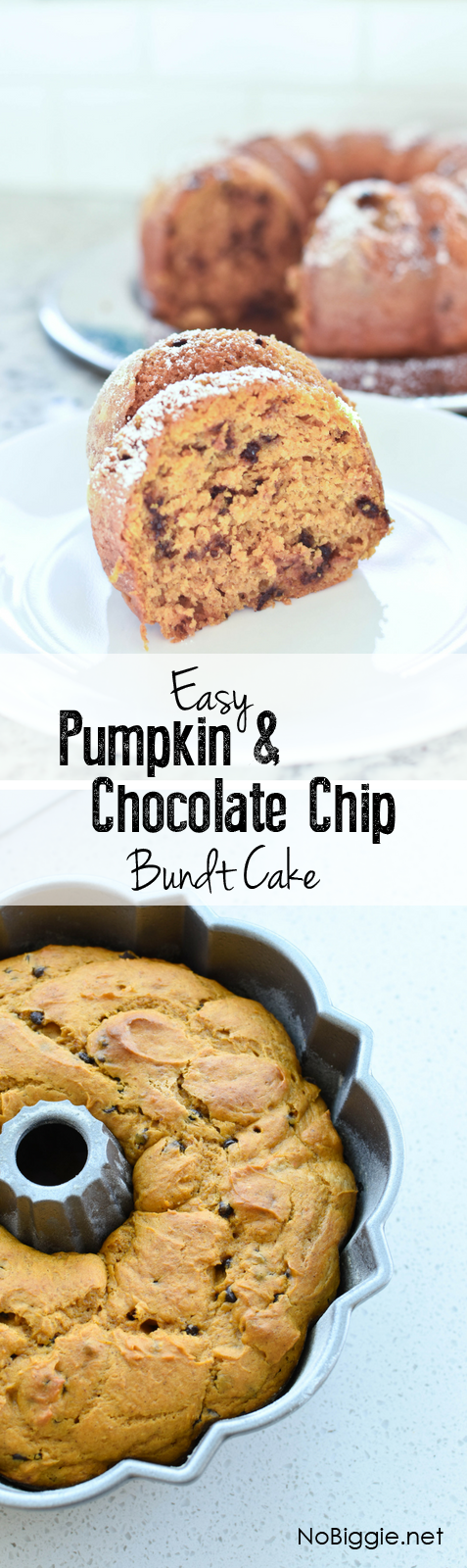 Easy Pumpkin Chocolate Chip Bundt Cake | NoBiggie.net