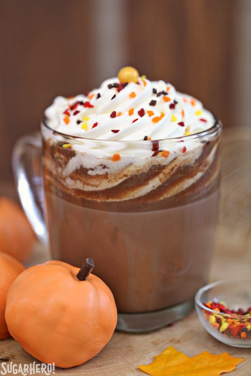 Pumpkin Spice Hot Chocolate Truffles | 25+ More Sweet Pumpkin Recipes