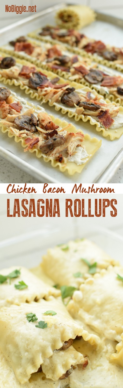 chicken bacon mushroom Lasagna Rollups | NoBiggie.net