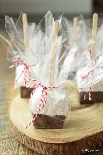 Hot Chocolate on a Stick | NoBiggie