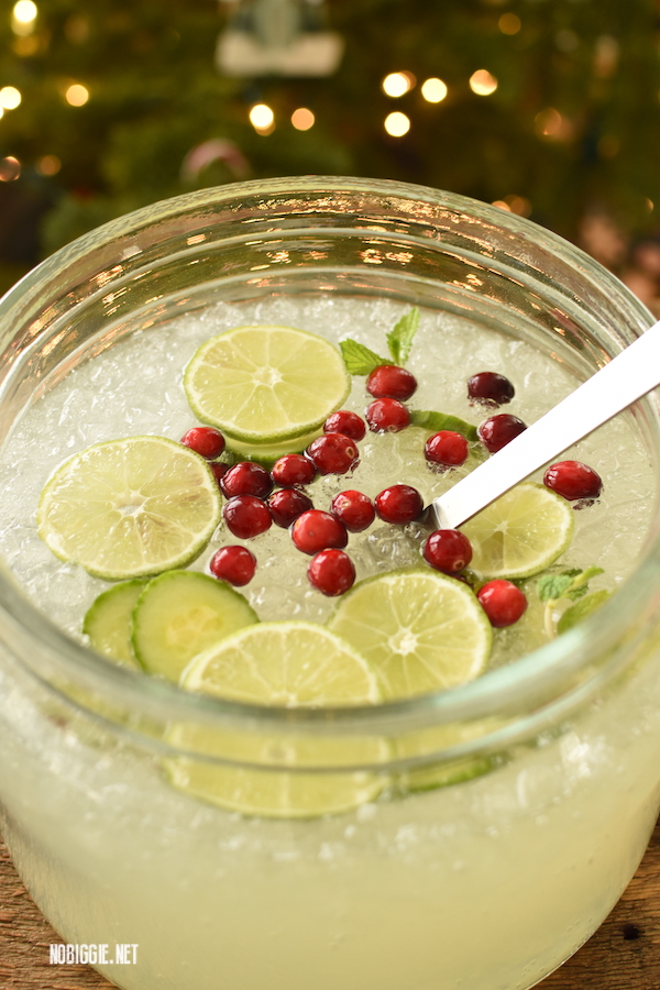 cucumber limeade punch with cranberries | NoBiggie.net