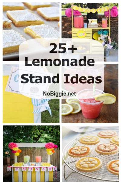 25+ Lemonade Stand Ideas | NoBiggie.net