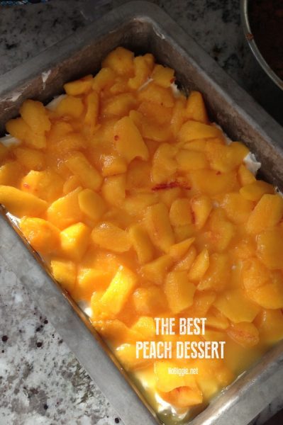 the best peach dessert | NoBiggie.net