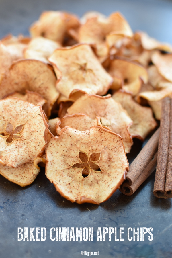 Baked Cinnamon Apple Chips | 25+ Apple Recipes