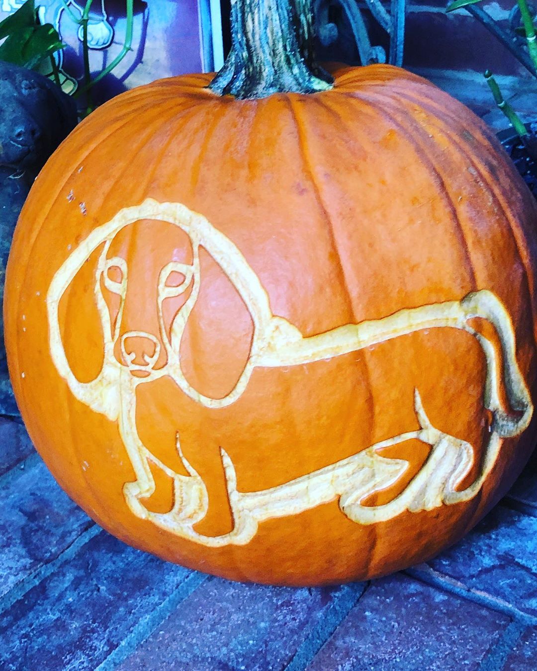 Dacshund Dog Carved Pumpkin | 25+ Creative Carved Pumpkins
