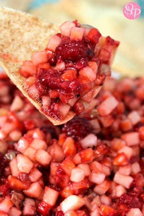 Fruit Salsa with cinnamon crisps | 25+ MORE Easy No Cook Appetizers
