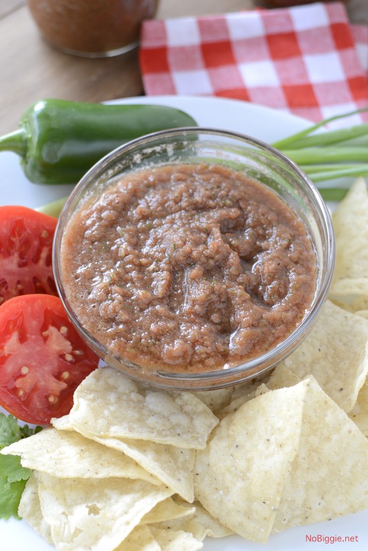 Homemade blender salsa | 25+ MORE Easy No Cook Appetizers