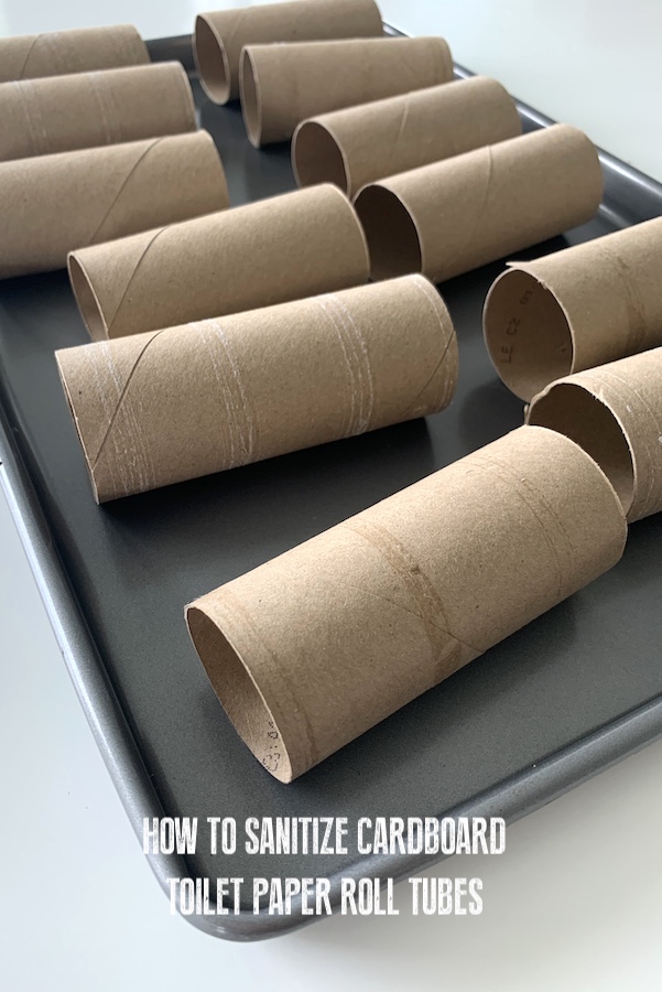 how to sanitize toilet paper tubes for crafts | NoBiggie.net