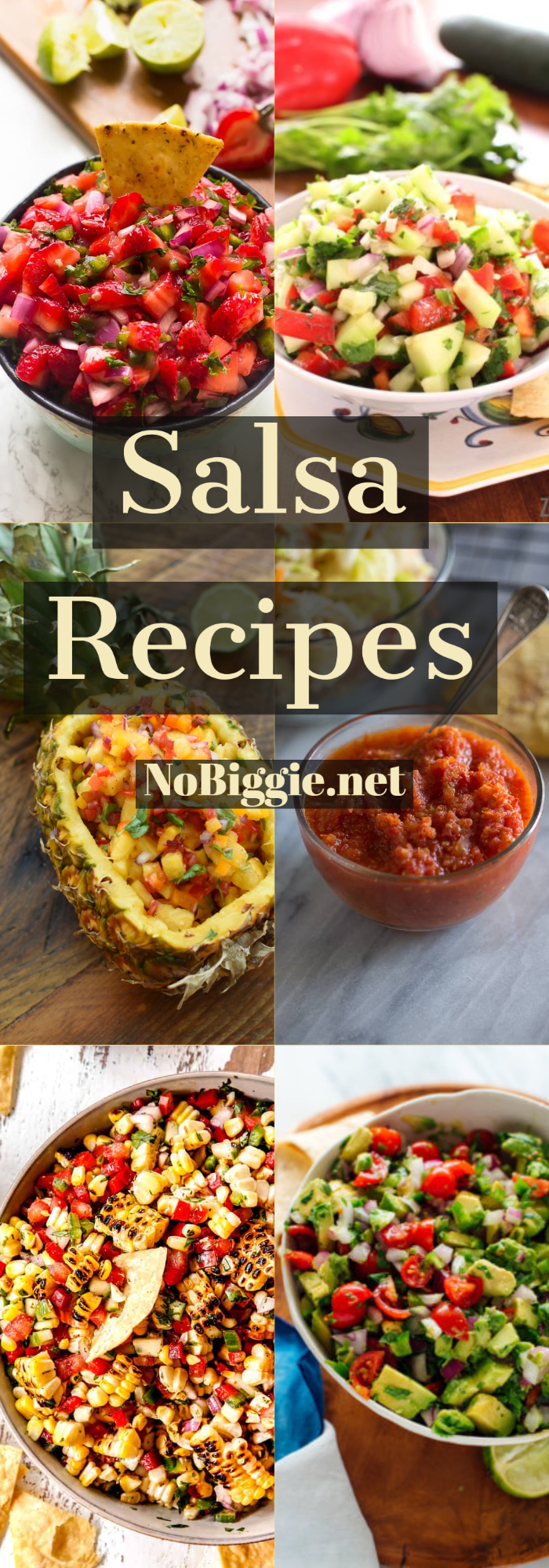 Salsa Recipes | NoBiggie.net