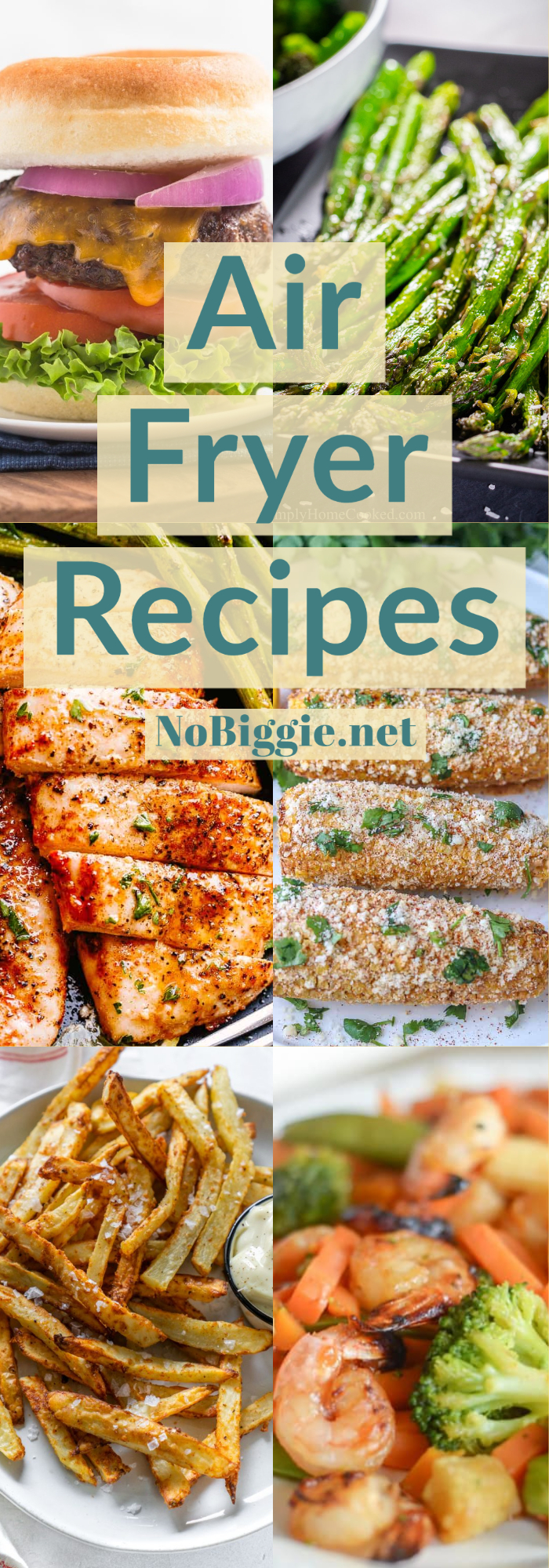 Air Fryer Recipes | NoBiggie.net