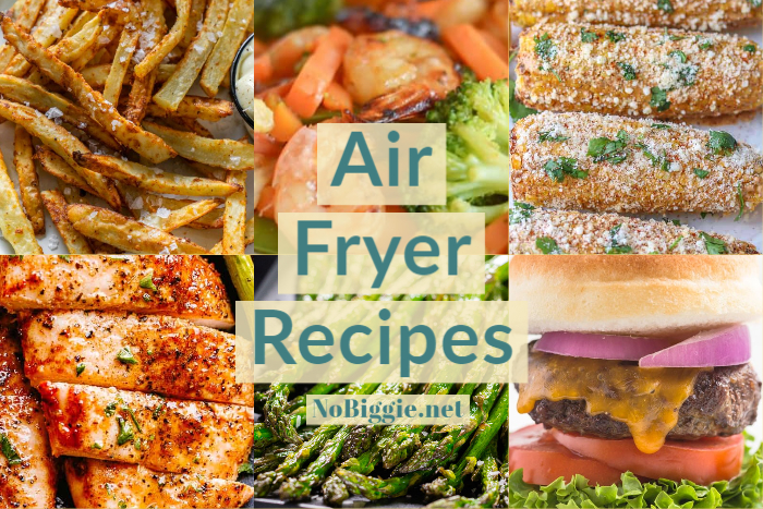 Air Fryer Recipes | NoBiggie.net
