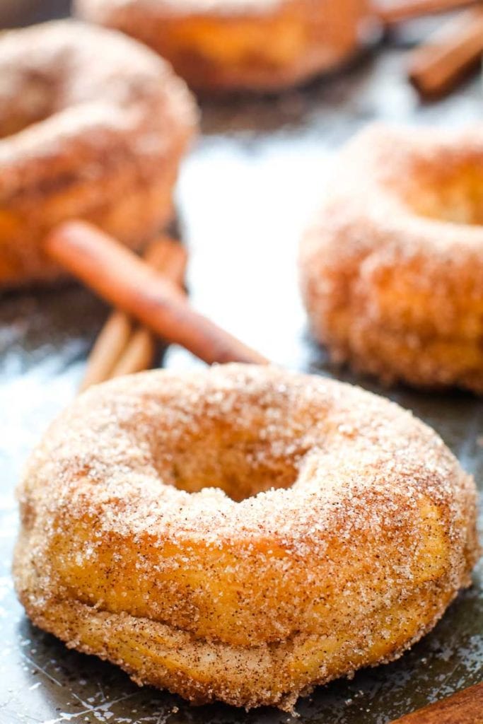 Cinnamon Sugar Air Fryer Donuts | 25+ Air Fryer Desserts