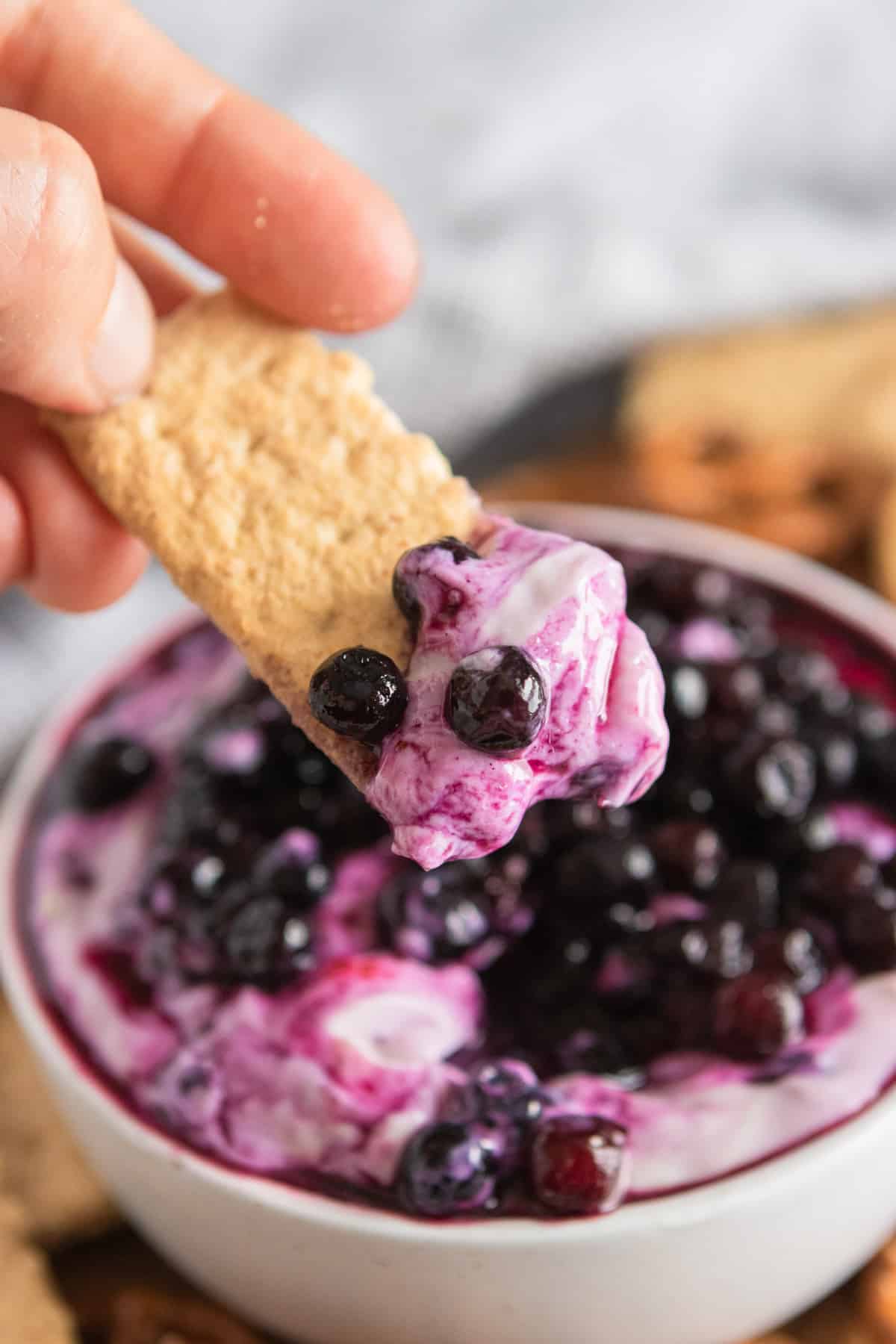 Blueberry Cheesecake Dip | Sweet Dip Recipes