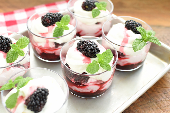 blackberry fool recipe | NoBiggie.net