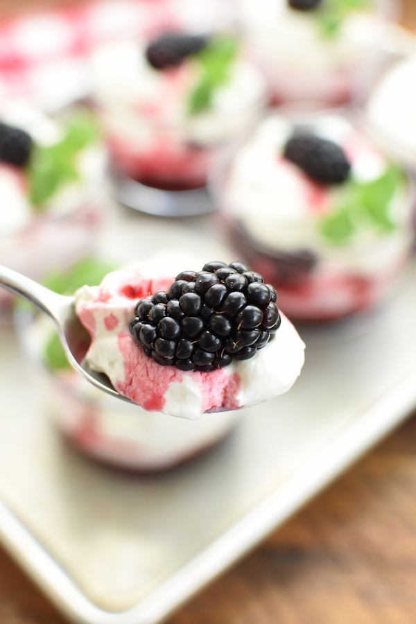 how to make a blackberry fool | NoBiggie.net