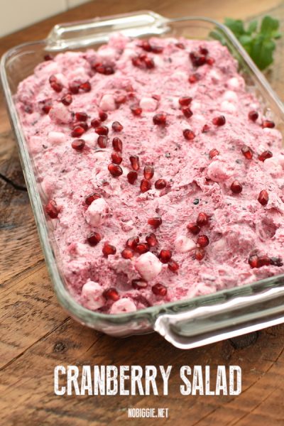 Cranberry Salad | NoBiggie.net